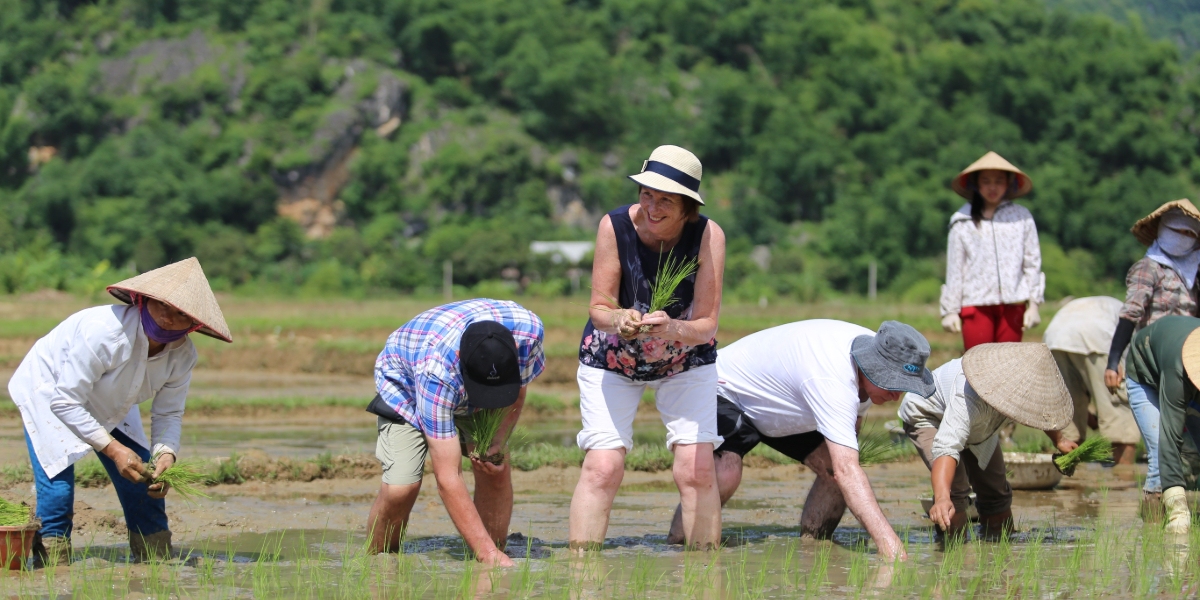 The Green culture circle of Ninh Binh - Hoa Binh